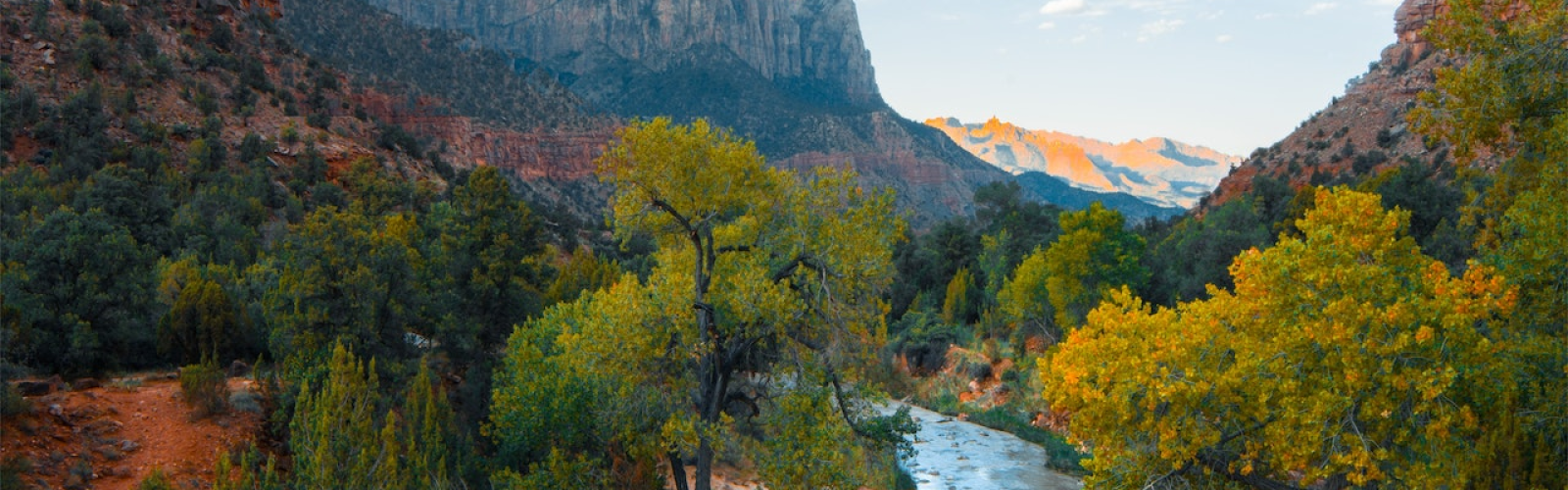 quality backlinks, travel blogs backlinks, booking platforms SEO, backlinks for travel websites, link building travel industry, SEO for booking platforms, quality backlinks travel blogs, backlinks strategies, travel website SEO